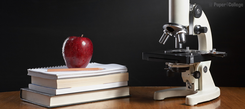 Books, Copybooks and a Microscope