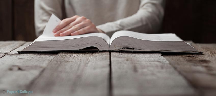 Person Reading Book